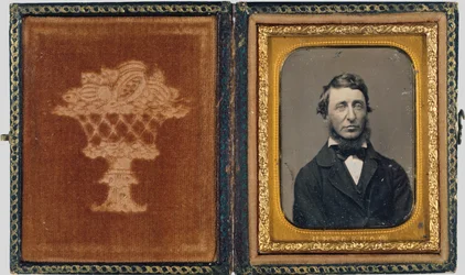 Henry David Thoreau